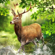 布景太无敌，体系直接黑化了