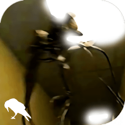 《颂钟长鸣》能否骑马阐明